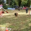 foire-haricots 2011-09-17et18